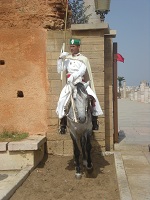 Mounted Guard